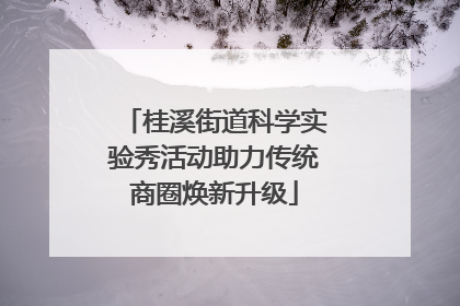 桂溪街道科学实验秀活动助力传统商圈焕新升级