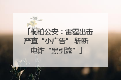 桐柏公安：雷霆出击严查“小广告” 斩断电诈“黑引流”