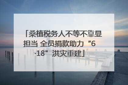 桑植税务人不等不靠显担当 全员捐款助力“6·18”洪灾重建