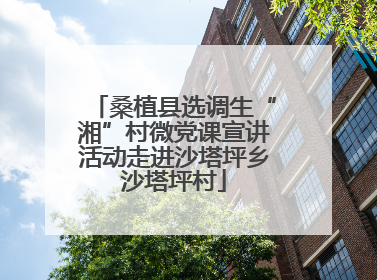桑植县选调生“湘”村微党课宣讲活动走进沙塔坪乡沙塔坪村