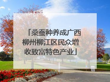 桑蚕种养成广西柳州柳江区民众增收致富特色产业