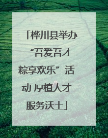 桦川县举办“吾爱吾才 粽享欢乐”活动 厚植人才服务沃土