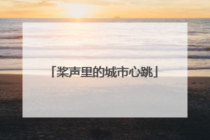 桨声里的城市心跳