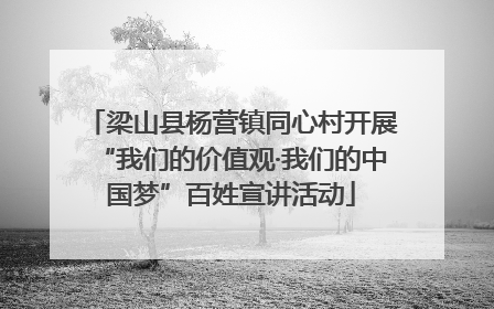梁山县杨营镇同心村开展“我们的价值观·我们的中国梦”百姓宣讲活动