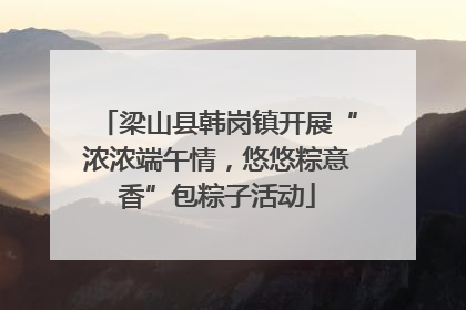 梁山县韩岗镇开展“浓浓端午情，悠悠粽意香”包粽子活动