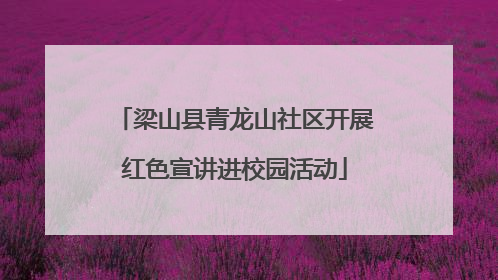 梁山县青龙山社区开展红色宣讲进校园活动