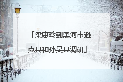 梁惠玲到黑河市逊克县和孙吴县调研