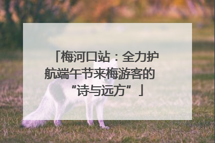 梅河口站：全力护航端午节来梅游客的“诗与远方”