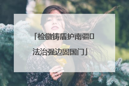 检徽铸盾护南疆 法治强边固国门