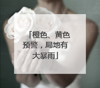 橙色、黄色预警，局地有大暴雨