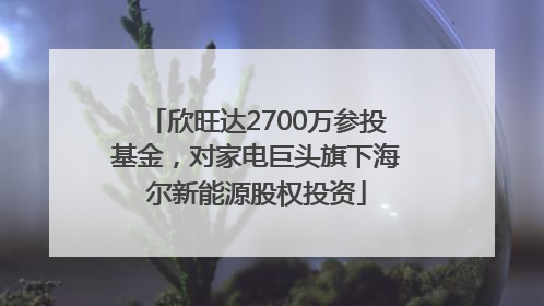 欣旺达2700万参投基金，对家电巨头旗下海尔新能源股权投资