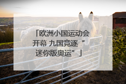欧洲小国运动会开幕 九国竞逐“迷你版奥运”