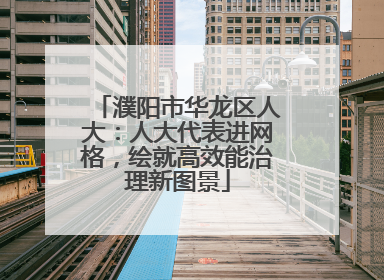 濮阳市华龙区人大：人大代表进网格，绘就高效能治理新图景