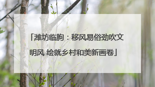 潍坊临朐：移风易俗劲吹文明风 绘就乡村和美新画卷