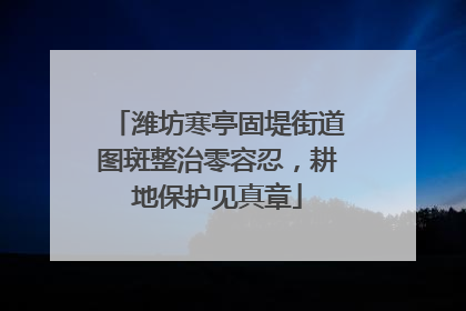 潍坊寒亭固堤街道图斑整治零容忍，耕地保护见真章