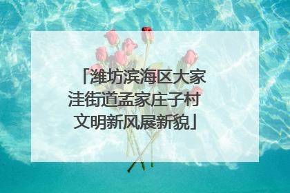 潍坊滨海区大家洼街道孟家庄子村文明新风展新貌