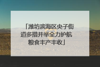 潍坊滨海区央子街道多措并举全力护航粮食丰产丰收