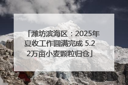潍坊滨海区：2025年夏收工作圆满完成 5.22万亩小麦颗粒归仓