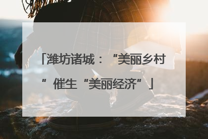 潍坊诸城：“美丽乡村”催生“美丽经济”