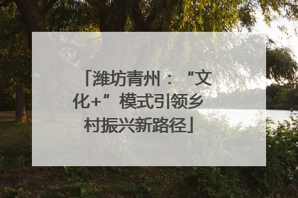 潍坊青州：“文化+”模式引领乡村振兴新路径