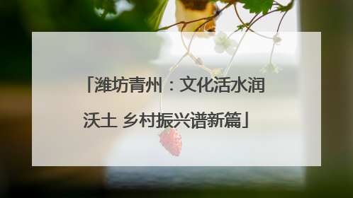 潍坊青州：文化活水润沃土 乡村振兴谱新篇