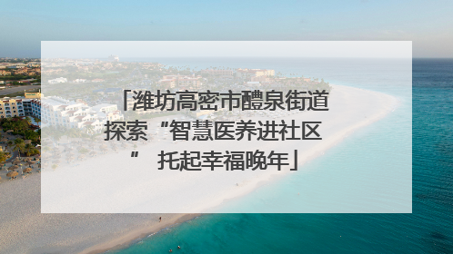 潍坊高密市醴泉街道探索“智慧医养进社区” 托起幸福晚年