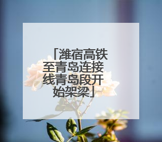 潍宿高铁至青岛连接线青岛段开始架梁