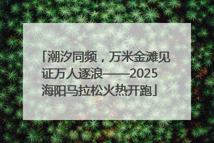 潮汐同频，万米金滩见证万人逐浪——2025海阳马拉松火热开跑