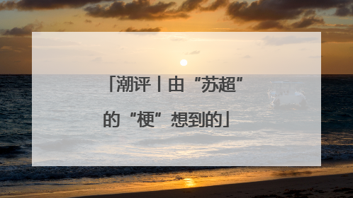 潮评丨由“苏超”的“梗”想到的