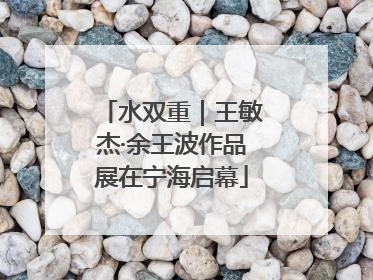 水双重｜王敏杰·余王波作品展在宁海启幕