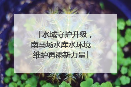 水域守护升级，南马场水库水环境维护再添新力量