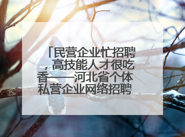民营企业忙招聘，高技能人才很吃香——河北省个体私营企业网络招聘大会扫描