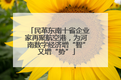 民革东南十省企业家再聚航空港，为河南数字经济增“智”又增“势”