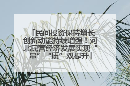 民间投资保持增长 创新动能持续增强！河北民营经济发展实现“量”“质”双提升
