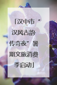 汉中市“汉风古韵·传奇夜”暑期文旅消费季启动