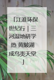 江淮环保世纪行｜三河湿地研学热 黄陂湖成鸟类天堂