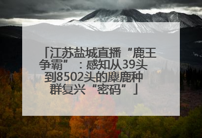 江苏盐城直播“鹿王争霸”：感知从39头到8502头的麋鹿种群复兴“密码”
