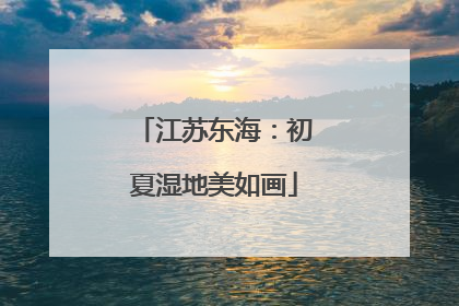 江苏东海：初夏湿地美如画