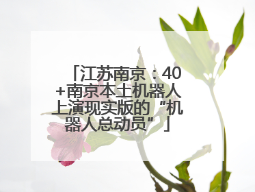 江苏南京：40+南京本土机器人上演现实版的“机器人总动员”