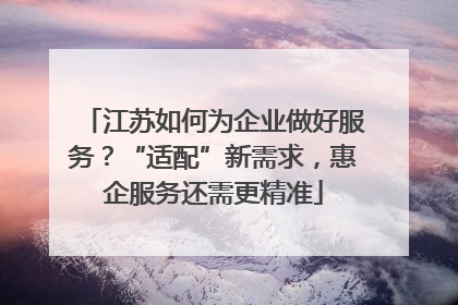 江苏如何为企业做好服务？“适配”新需求，惠企服务还需更精准