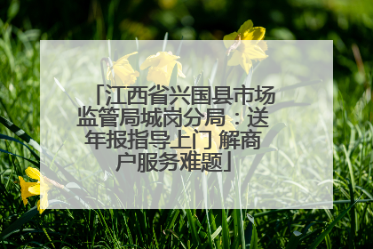 江西省兴国县市场监管局城岗分局：送年报指导上门 解商户服务难题