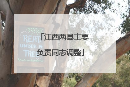 江西两县主要负责同志调整