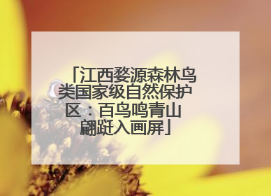 江西婺源森林鸟类国家级自然保护区：百鸟鸣青山 翩跹入画屏