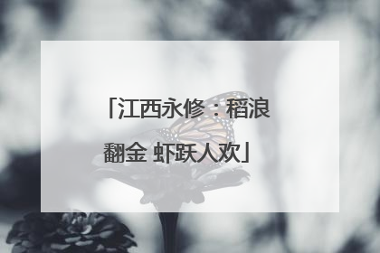 江西永修：稻浪翻金 虾跃人欢