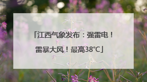 江西气象发布：强雷电！雷暴大风！最高38℃