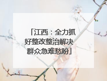 江西：全力抓好整改整治解决群众急难愁盼