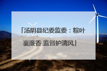 汤阴县纪委监委：粽叶裹廉香 监督护清风