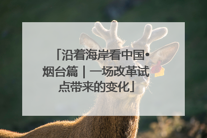 沿着海岸看中国•烟台篇｜一场改革试点带来的变化