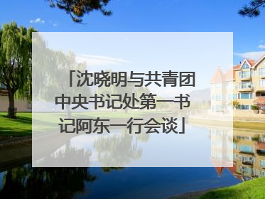 沈晓明与共青团中央书记处第一书记阿东一行会谈