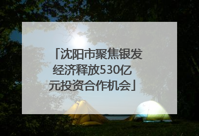 沈阳市聚焦银发经济释放530亿元投资合作机会